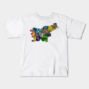 Spirograph Patterned Slovenia Counties Map Kids T-Shirt